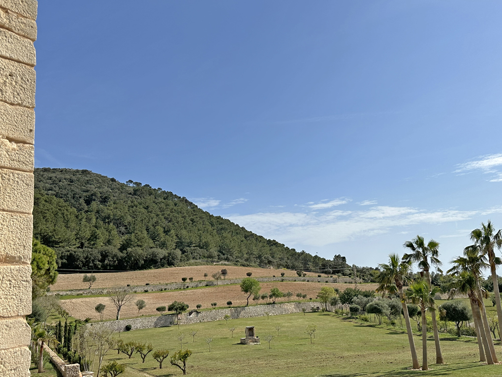 Countryhome for sale in Mallorca East 32