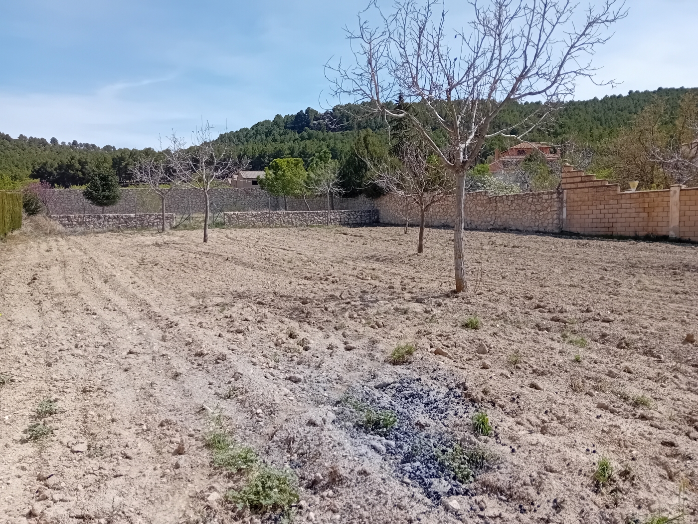 Countryhome for sale in Granada and surroundings 31