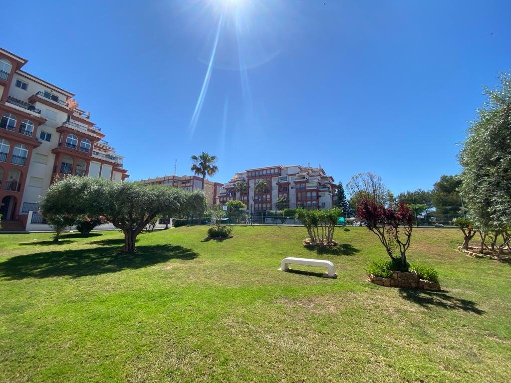 Property Image 580350-torrevieja-apartment-3-2