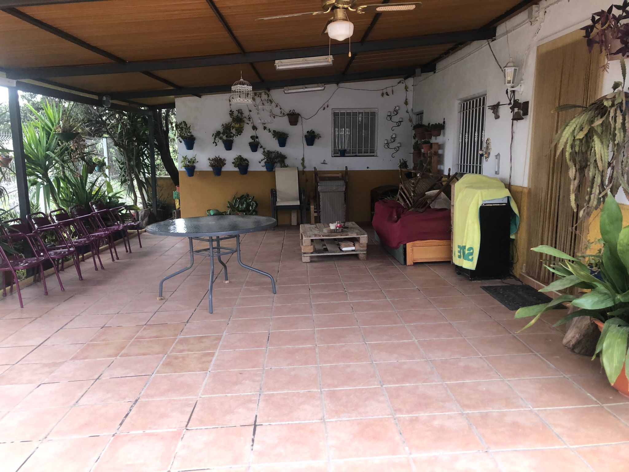 Casas de Campo en venta en Guardamar and surroundings 9