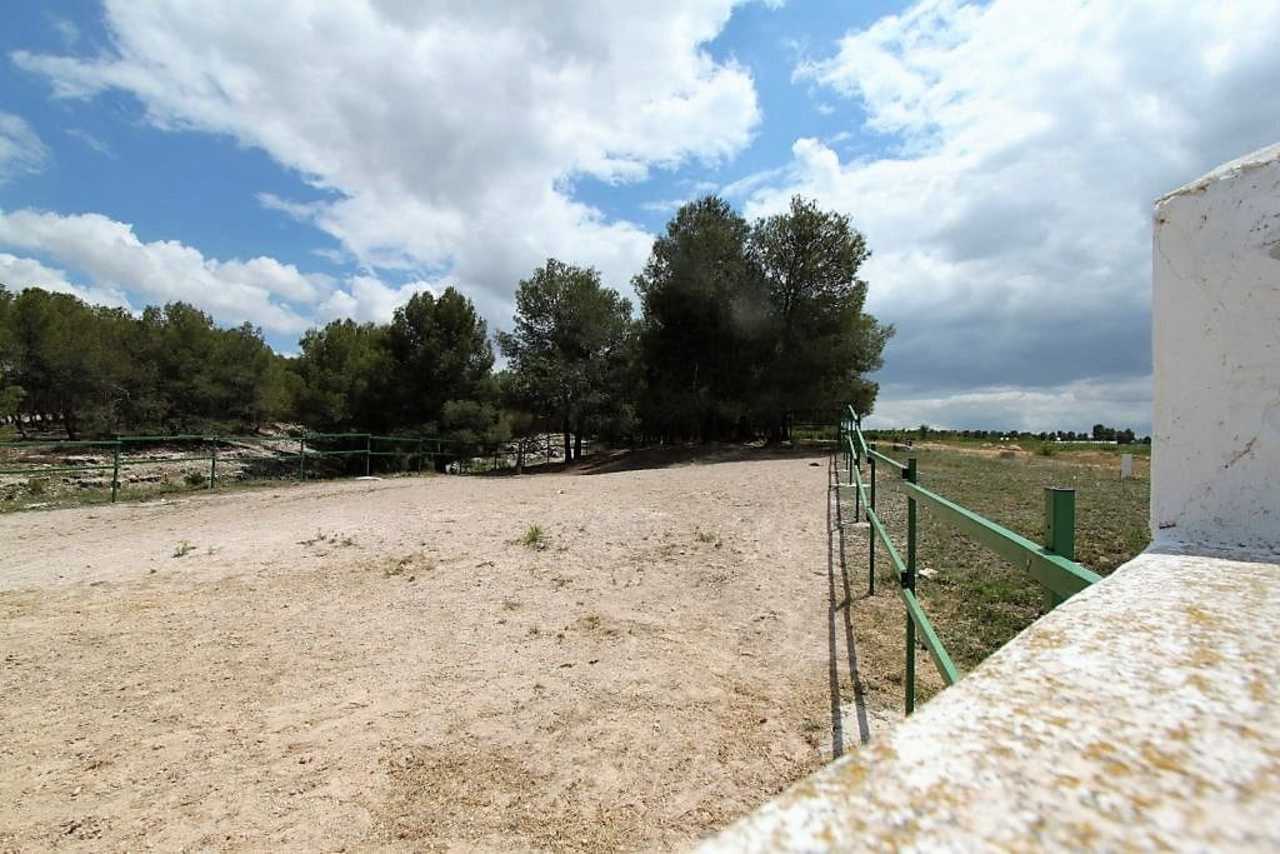 Countryhome for sale in Guardamar and surroundings 24
