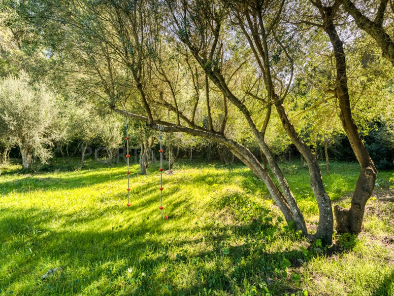 Maison de campagne à vendre à Guardamar and surroundings 39