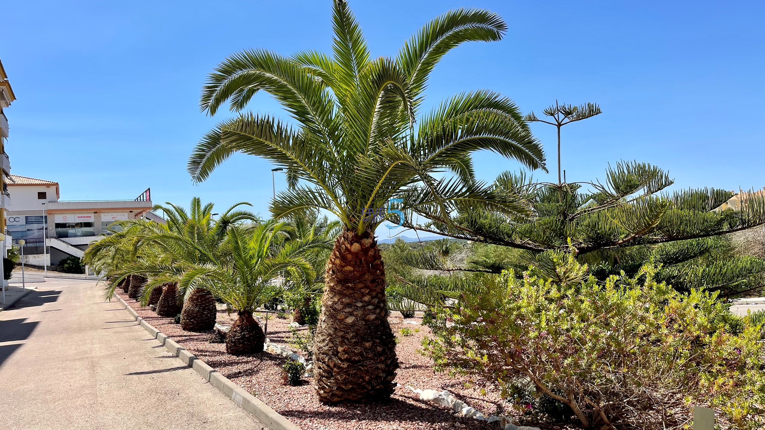 Lägenhet till salu i Alicante 14