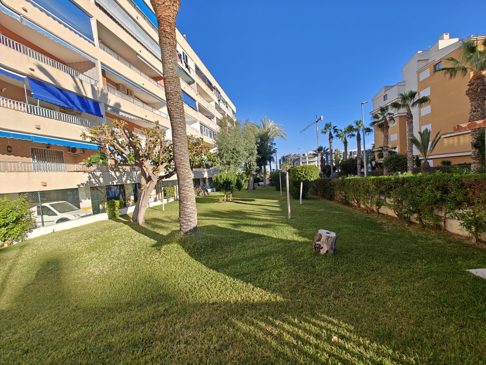 Apartment for sale in Alicante 34