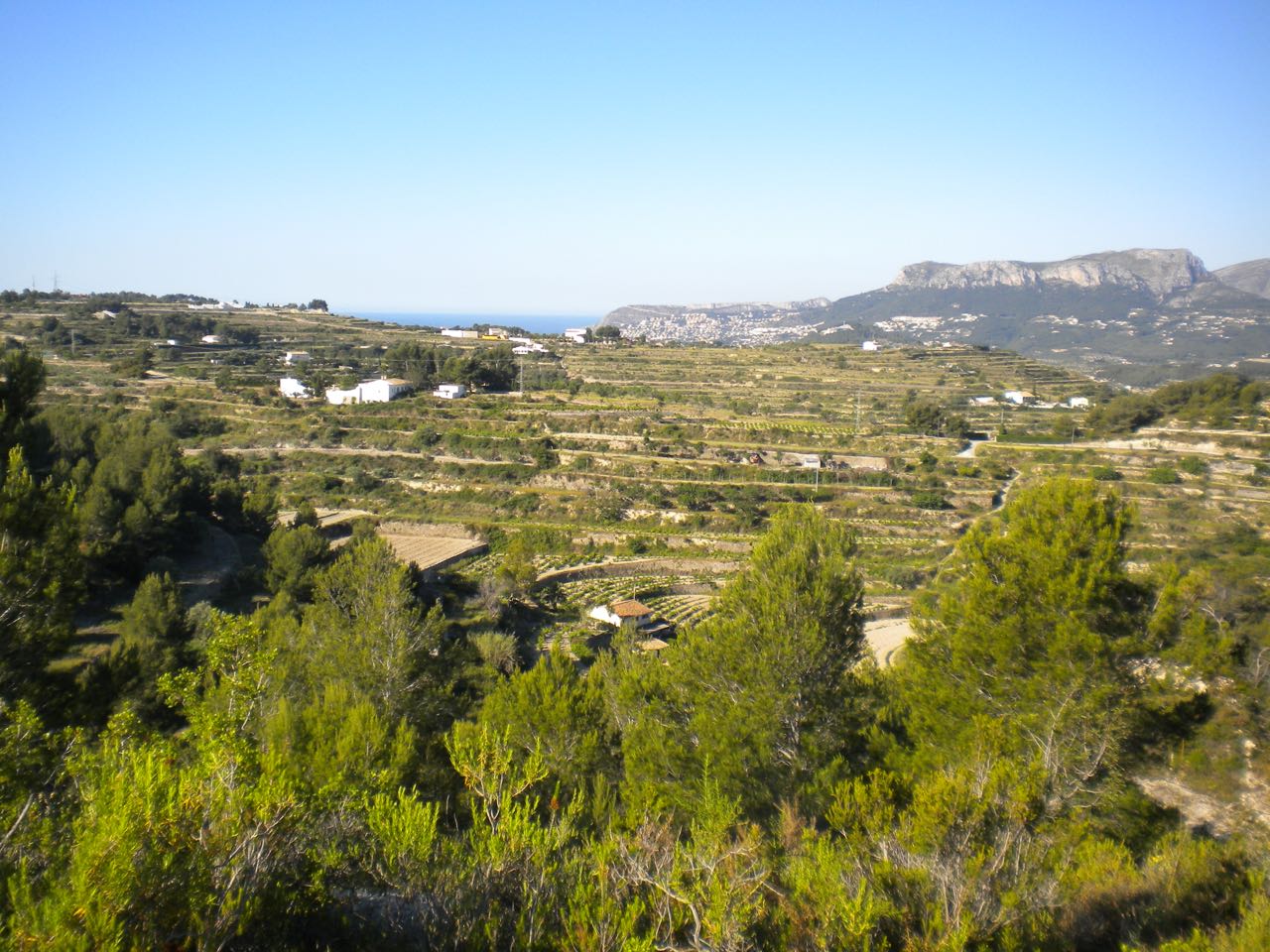 Размер собственного участка для продажи в Alicante 9