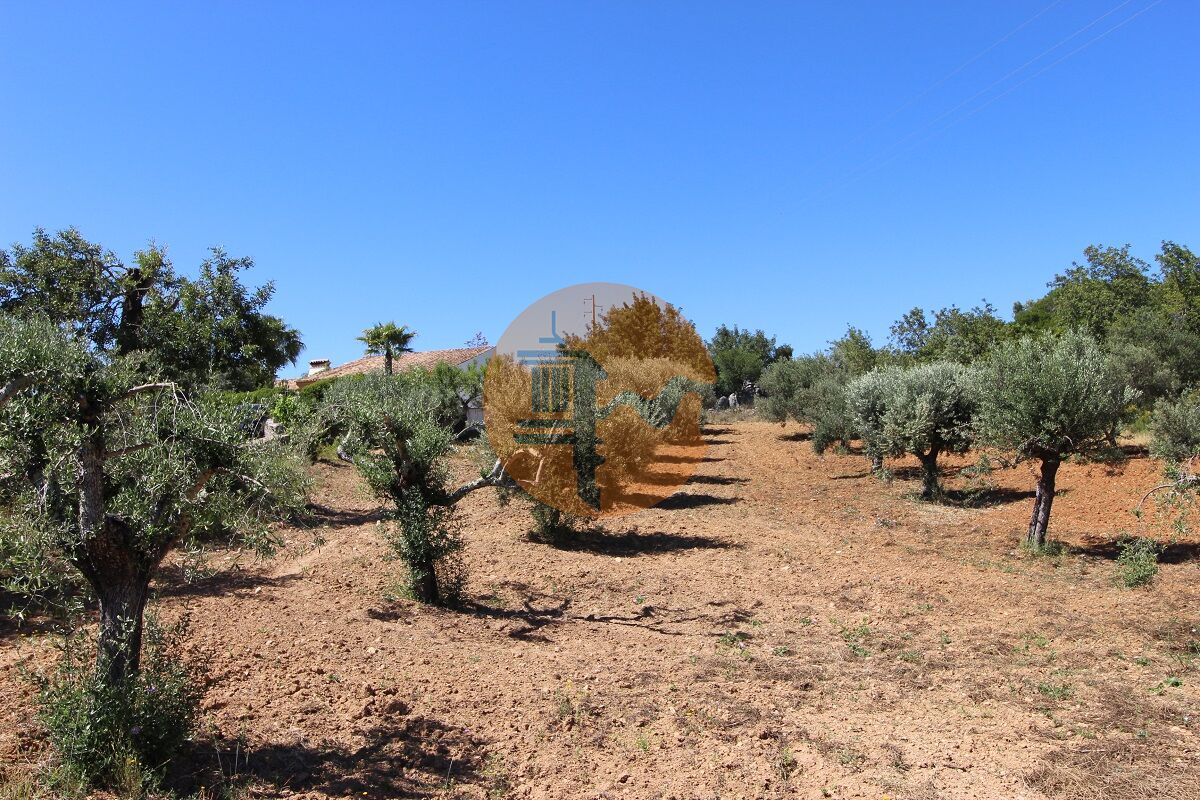 Plot for sale in Faro 1