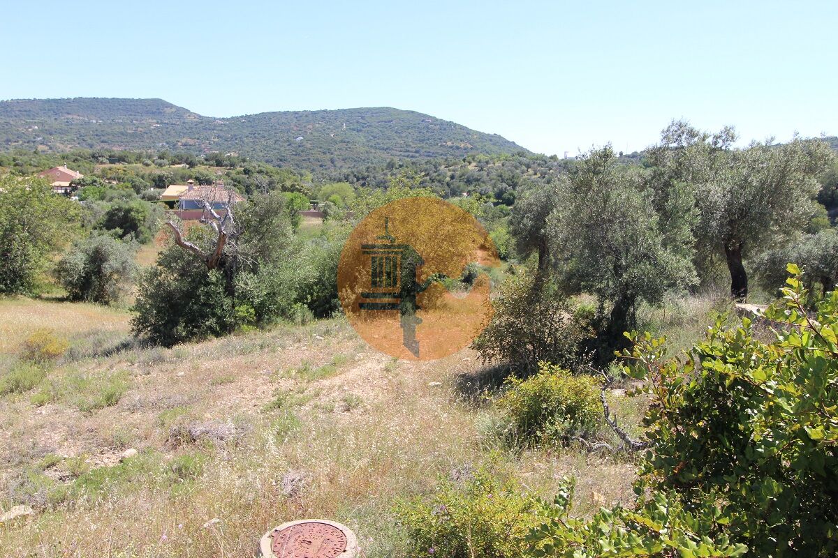 Plot for sale in Faro 10