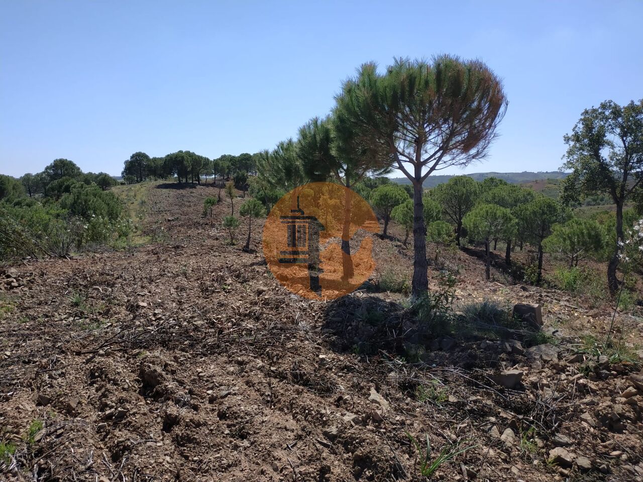 Plot for sale in Faro 5