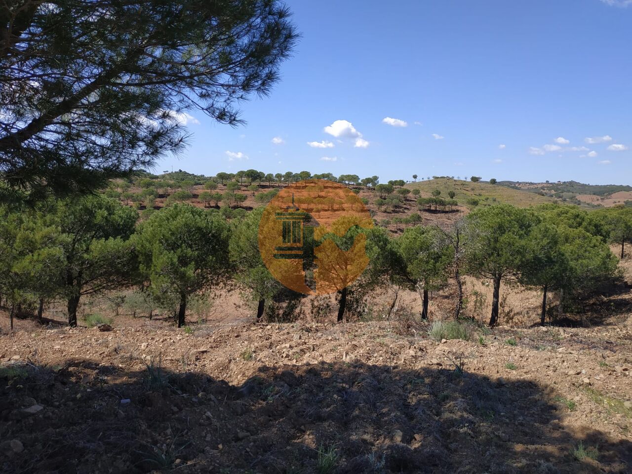 Plot for sale in Faro 10