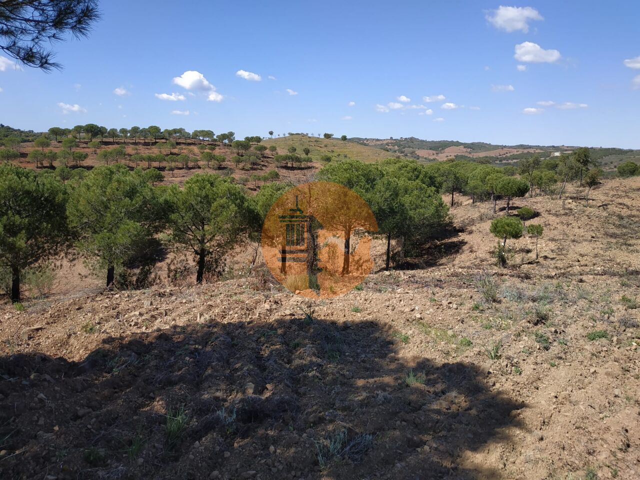 Plot for sale in Faro 18