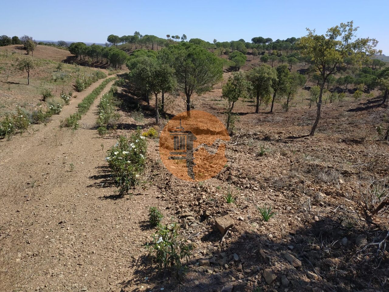 Plot for sale in Faro 20