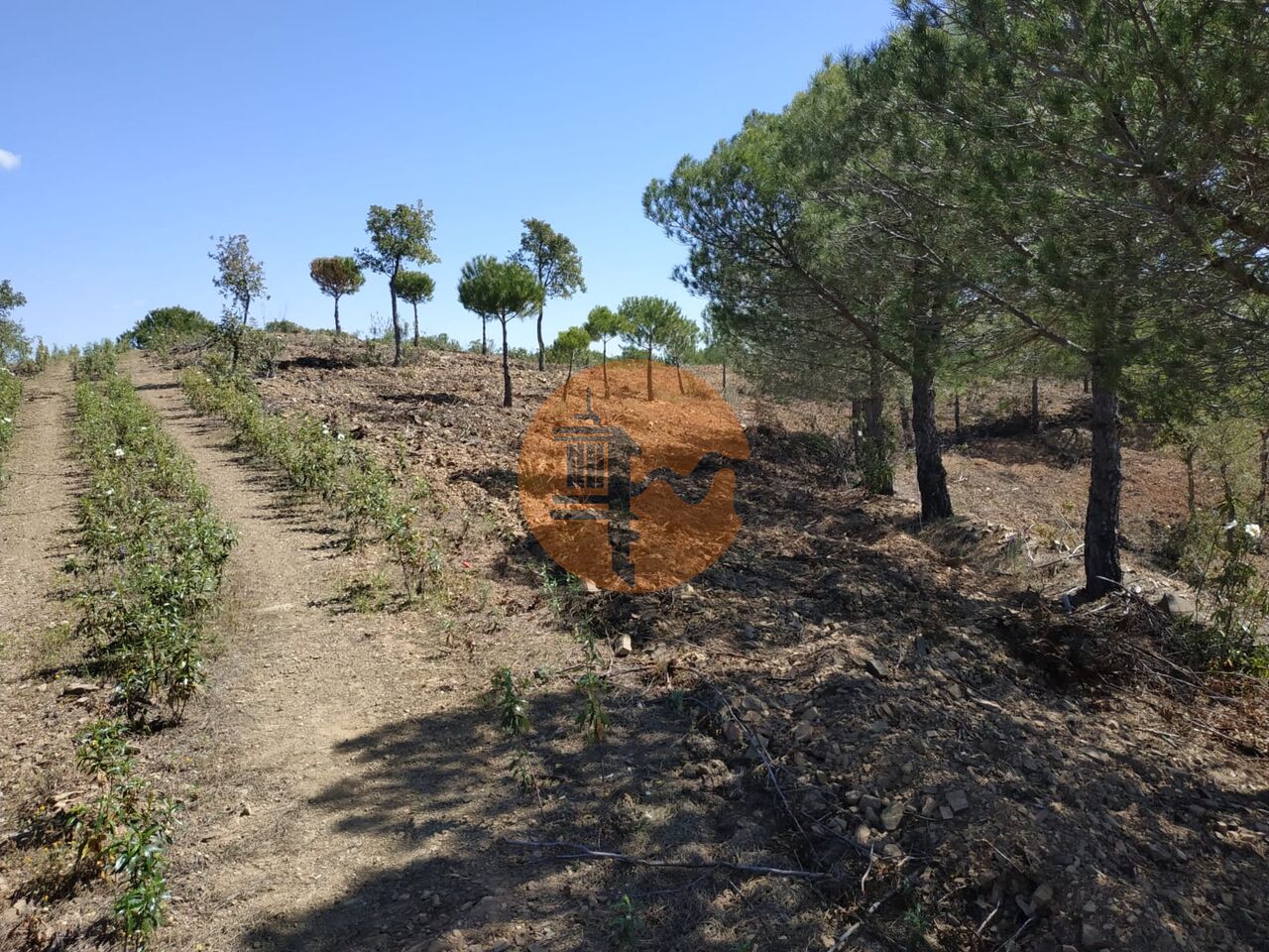 Plot for sale in Faro 23