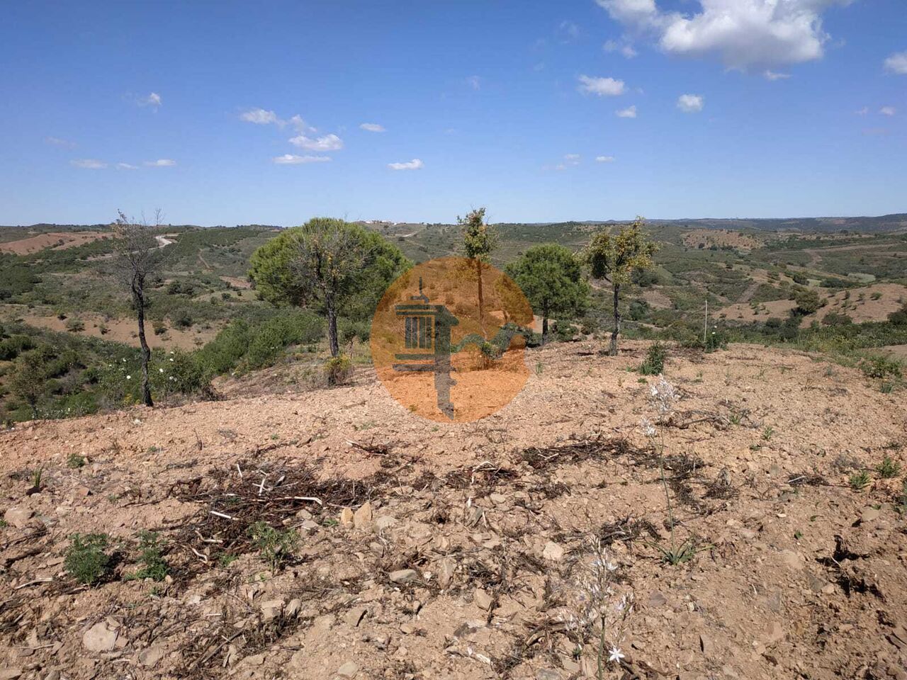 Plot for sale in Faro 12