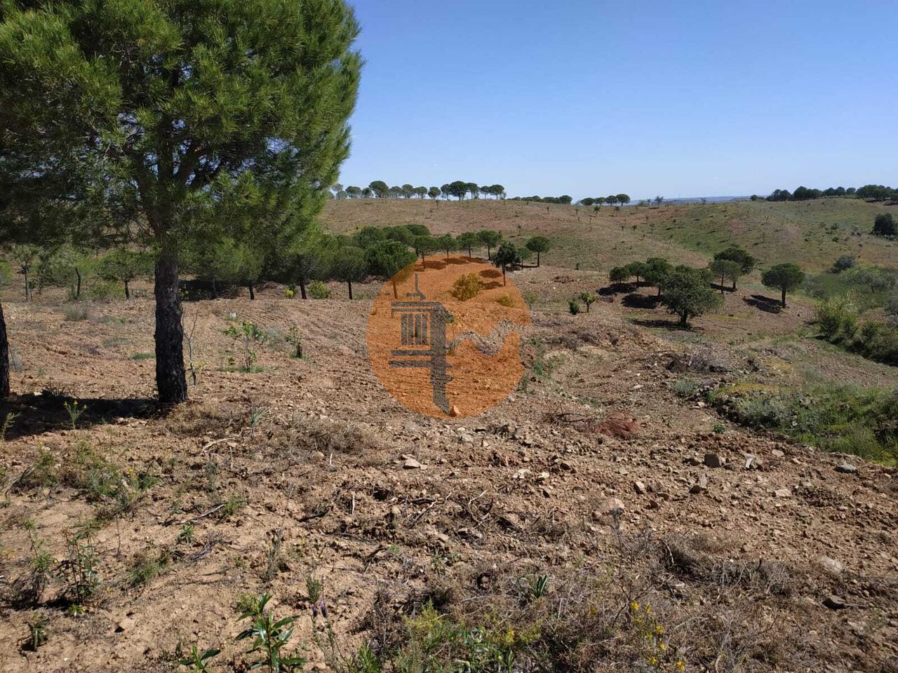 Plot for sale in Faro 14