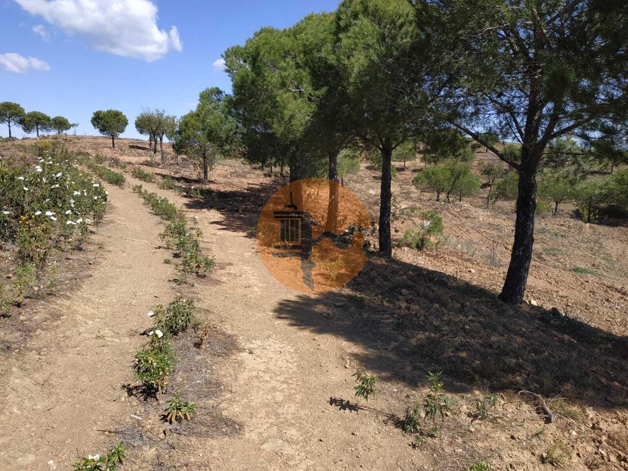 Plot for sale in Faro 25