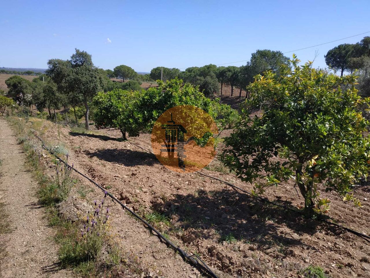 Plot for sale in Faro 44