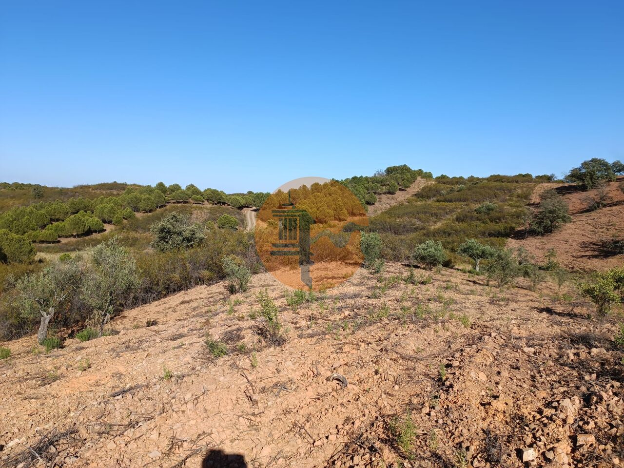 Plot for sale in Faro 13