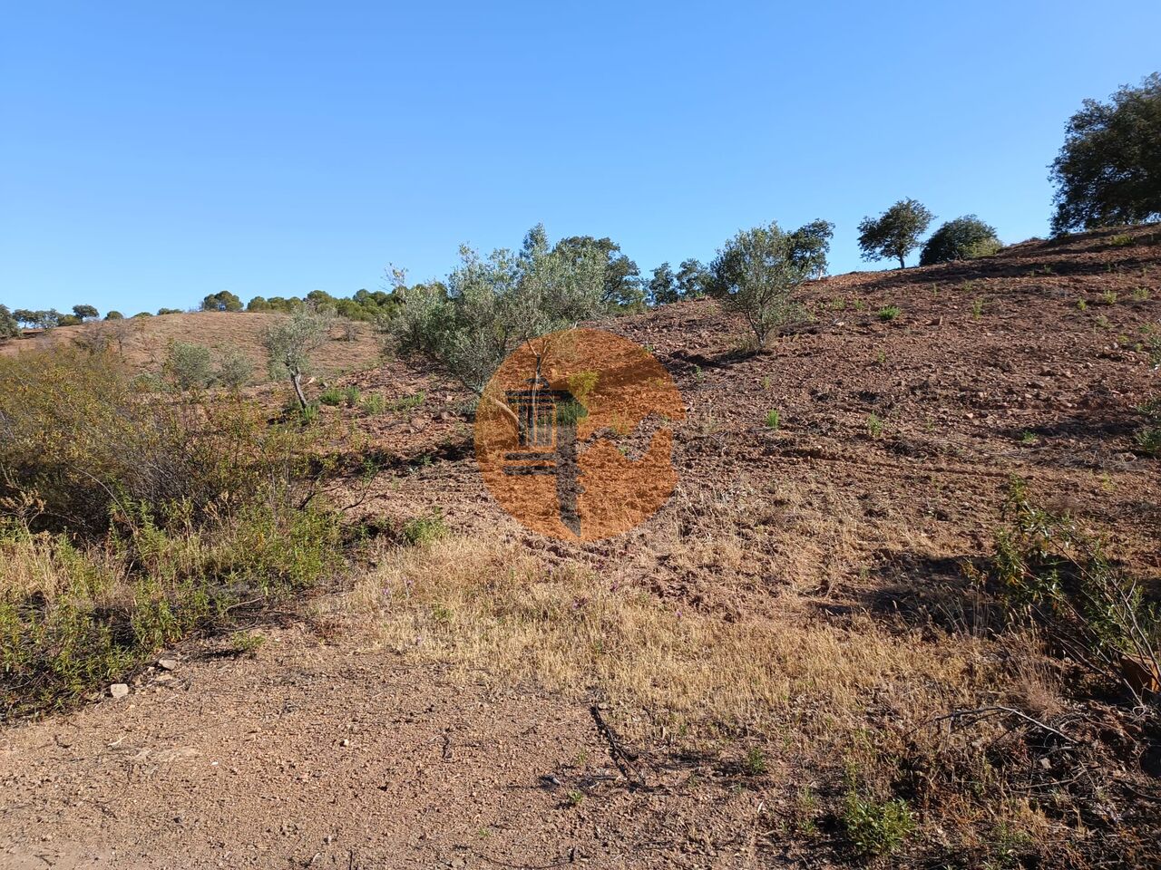 Plot for sale in Faro 15