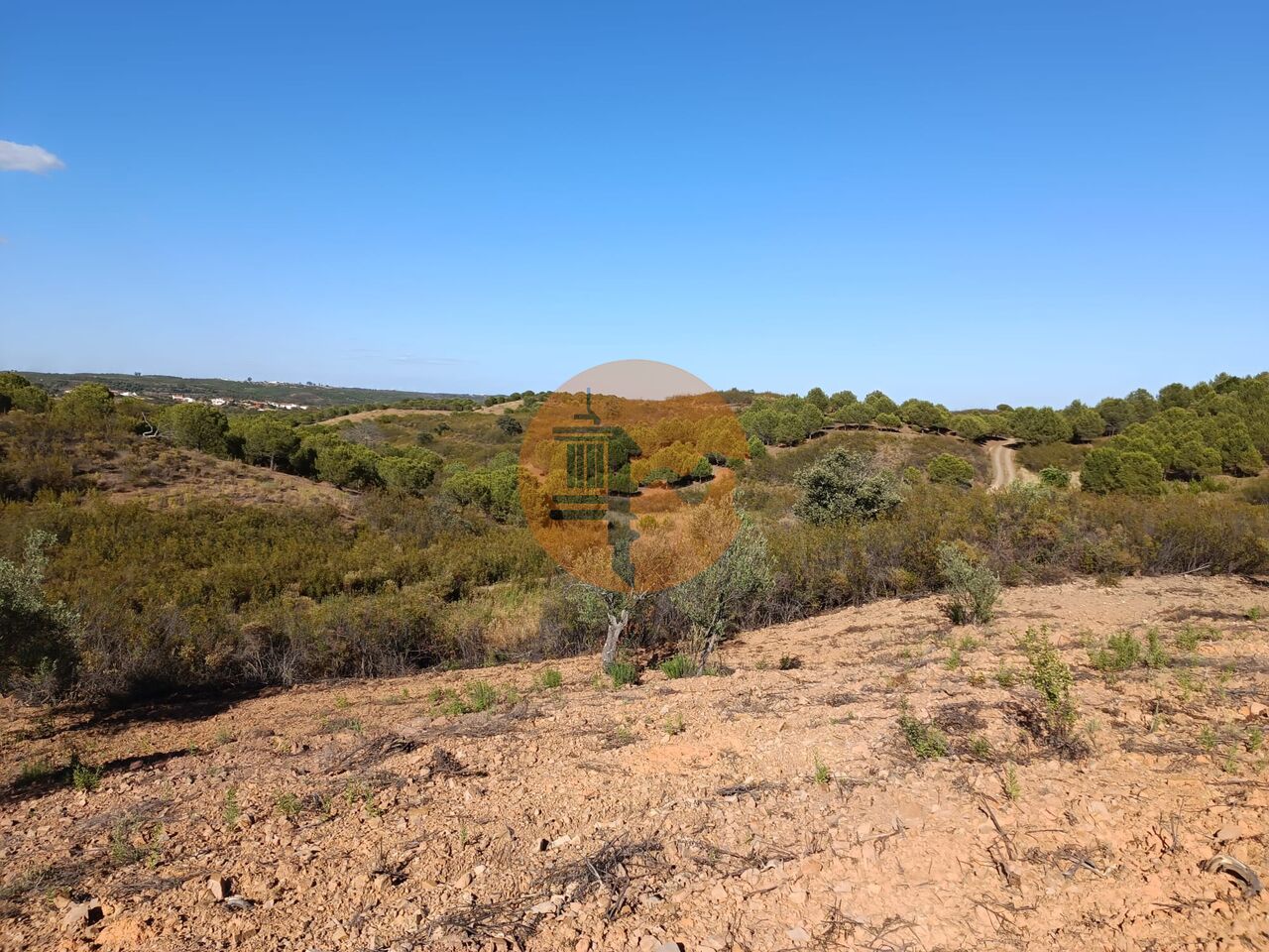 Plot for sale in Faro 6