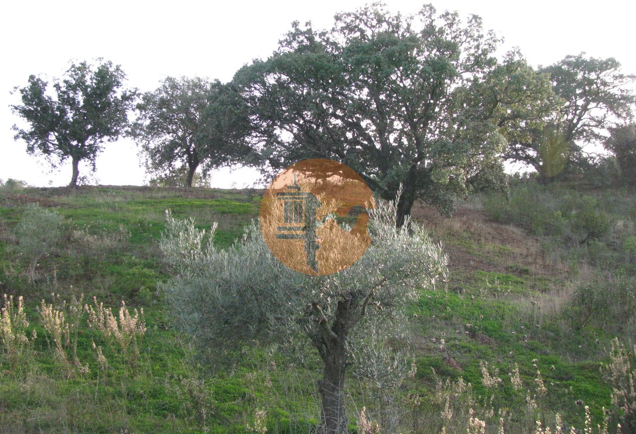 Plot for sale in Faro 32