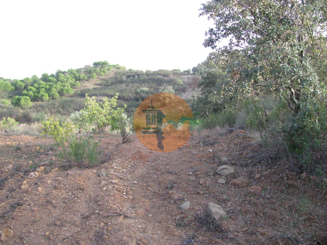 Plot for sale in Faro 33