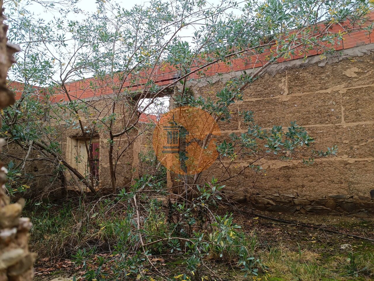 Haus zum Verkauf in Beja Inland 14