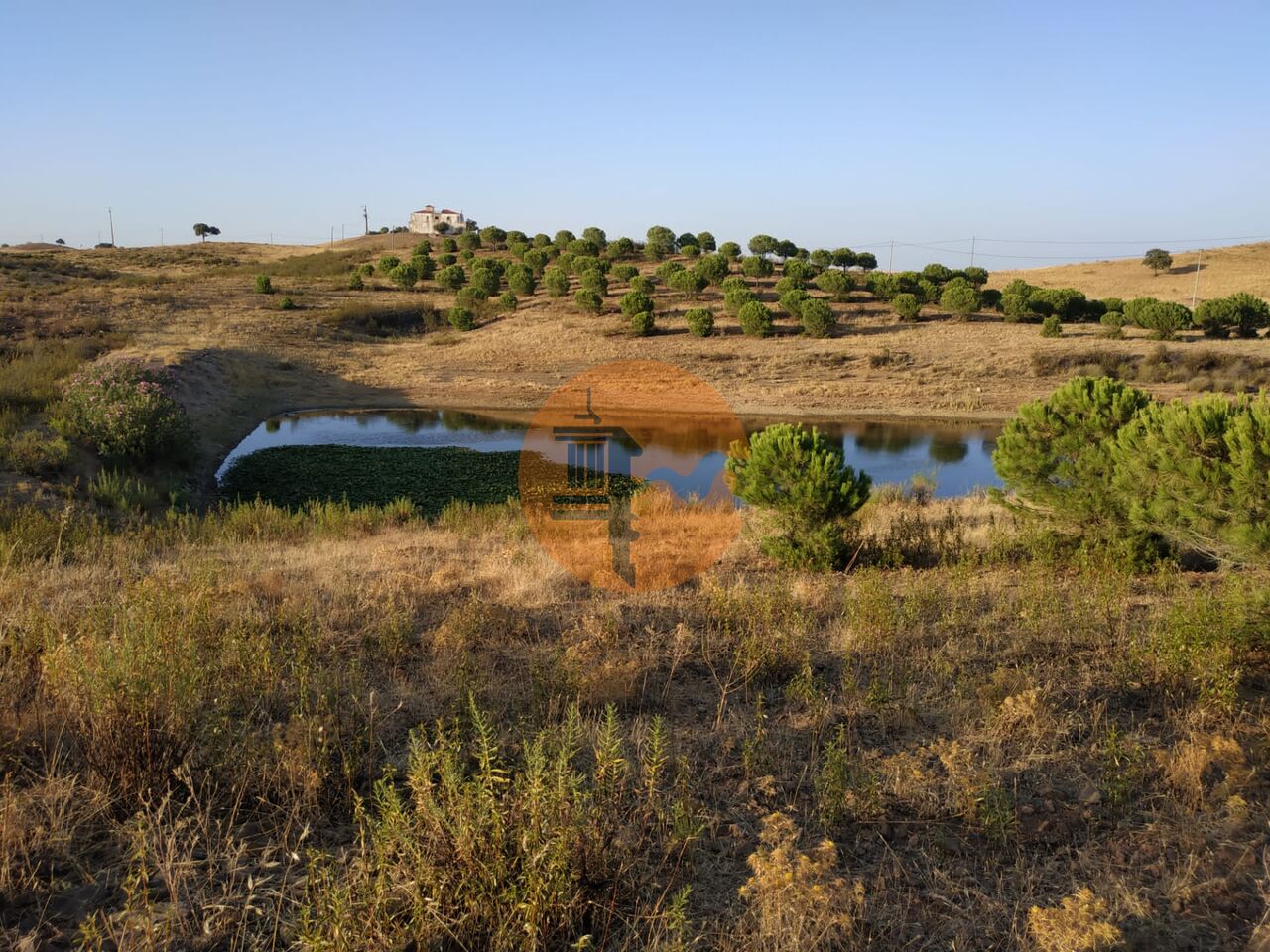 Plot à vendre à Faro 5