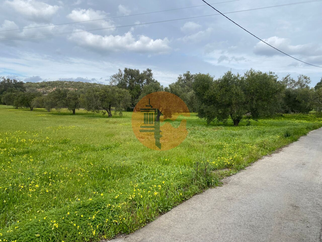 Plot for sale in Faro 4