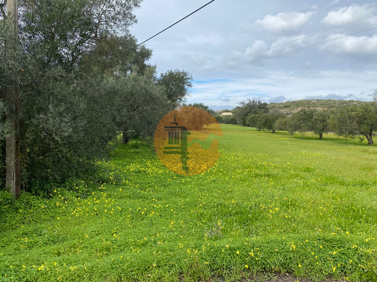 Plot for sale in Faro 3