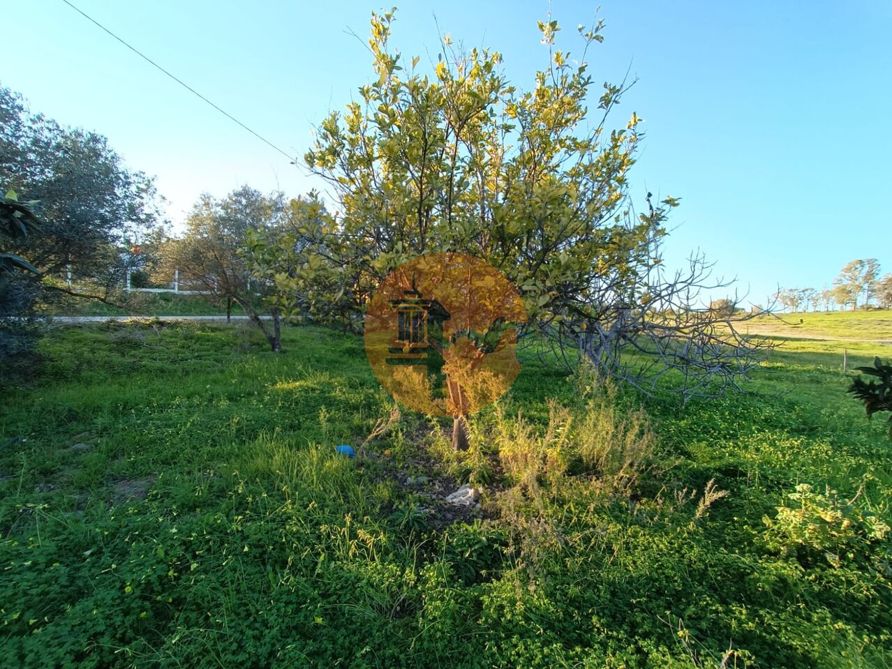 Plot for sale in Faro 22