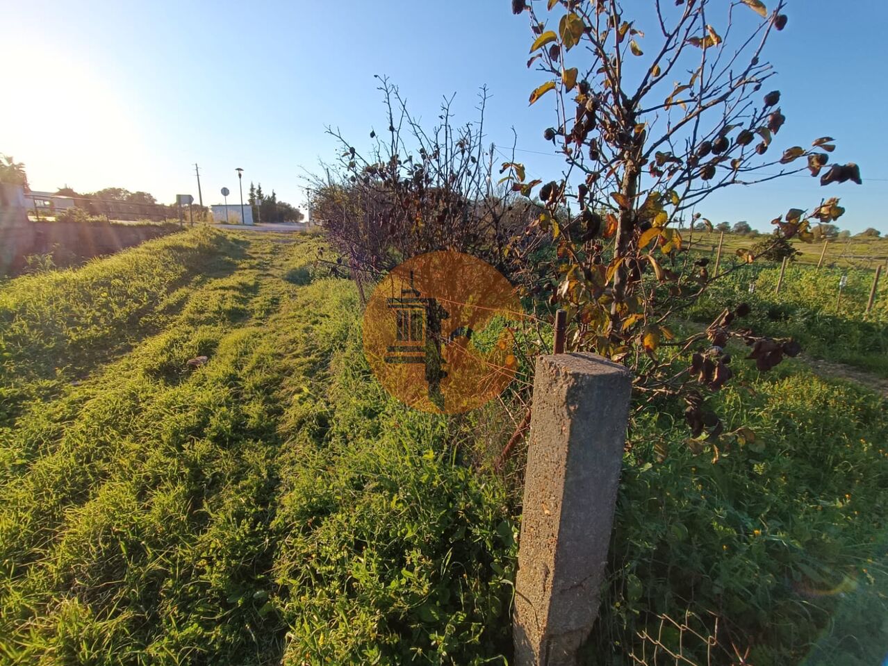 Działka na sprzedaż w Faro 24