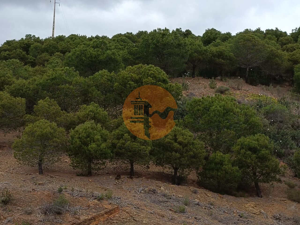 Plot for sale in Faro 6