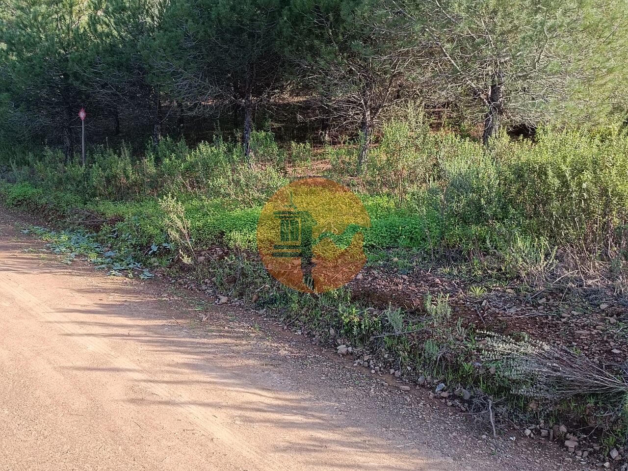 Działka na sprzedaż w Faro 19