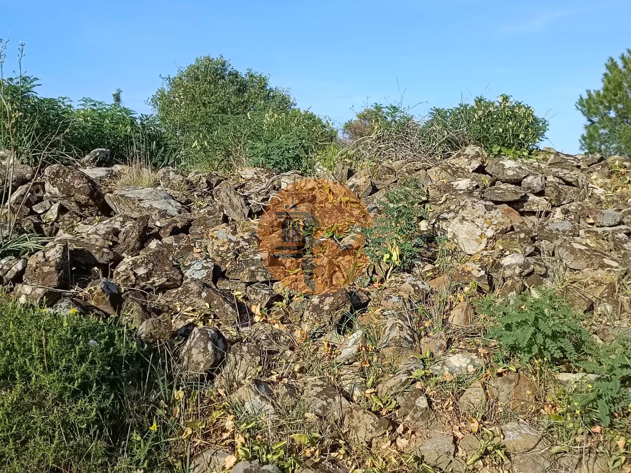 Działka na sprzedaż w Faro 3