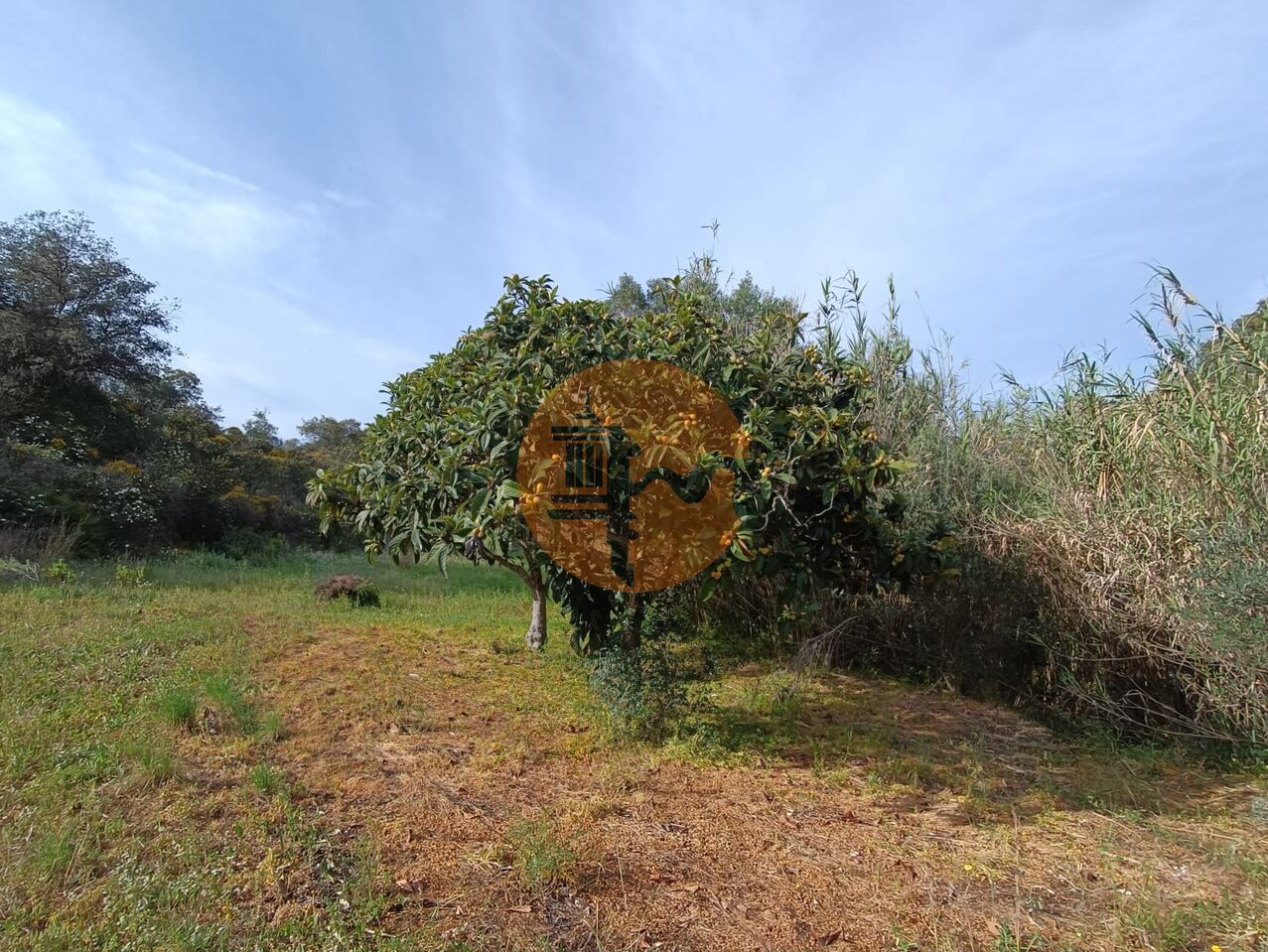 Plot en venta en Faro 17