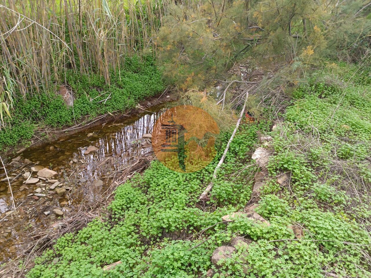 Plot à vendre à Faro 63