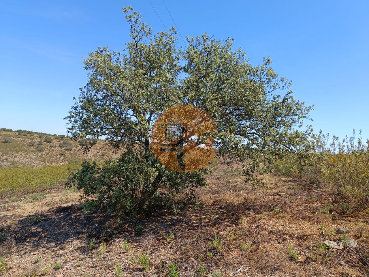 Property Image 592288-odeleite-plot