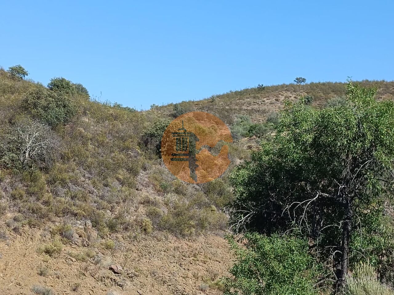 Plot for sale in Faro 22