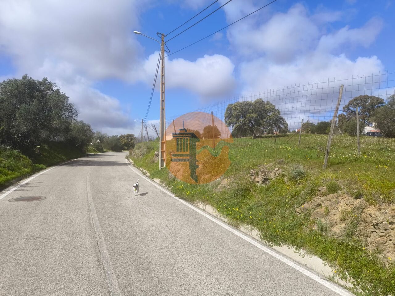 Plot for sale in Faro 11