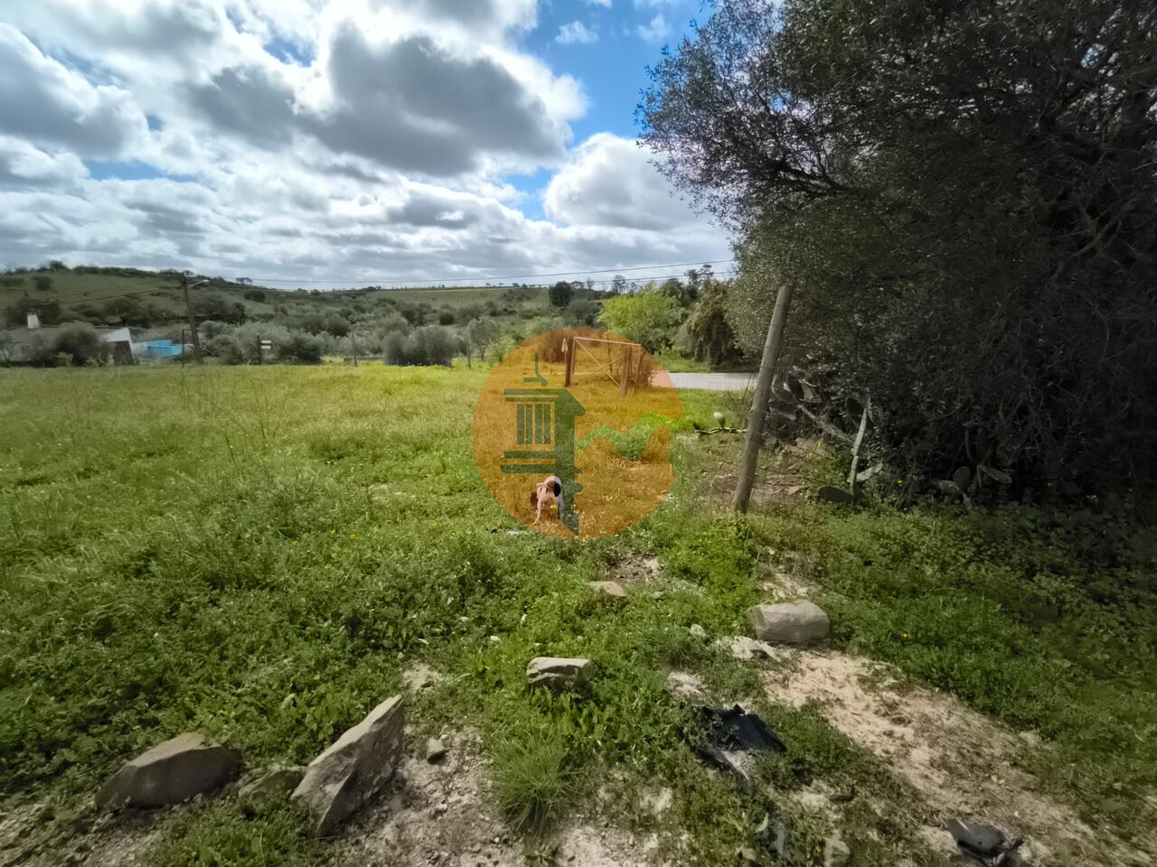 Plot for sale in Faro 14