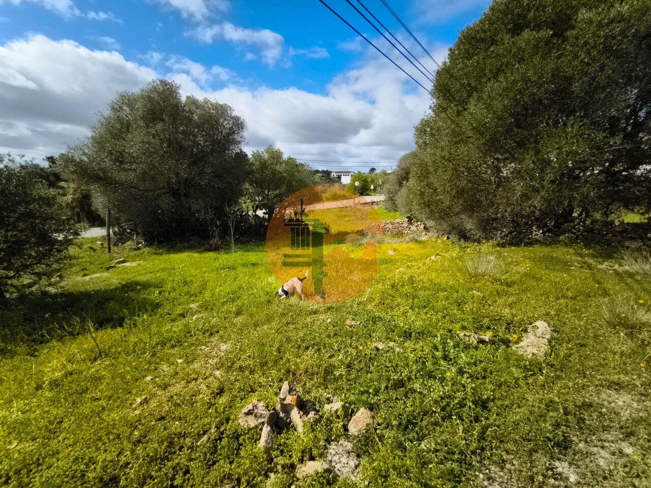 Plot for sale in Faro 25