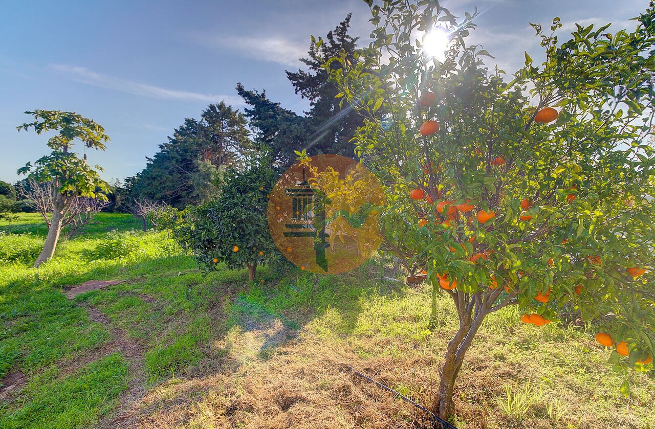 Maison de campagne à vendre à Vila Real de S.A. and Eastern Algarve 46