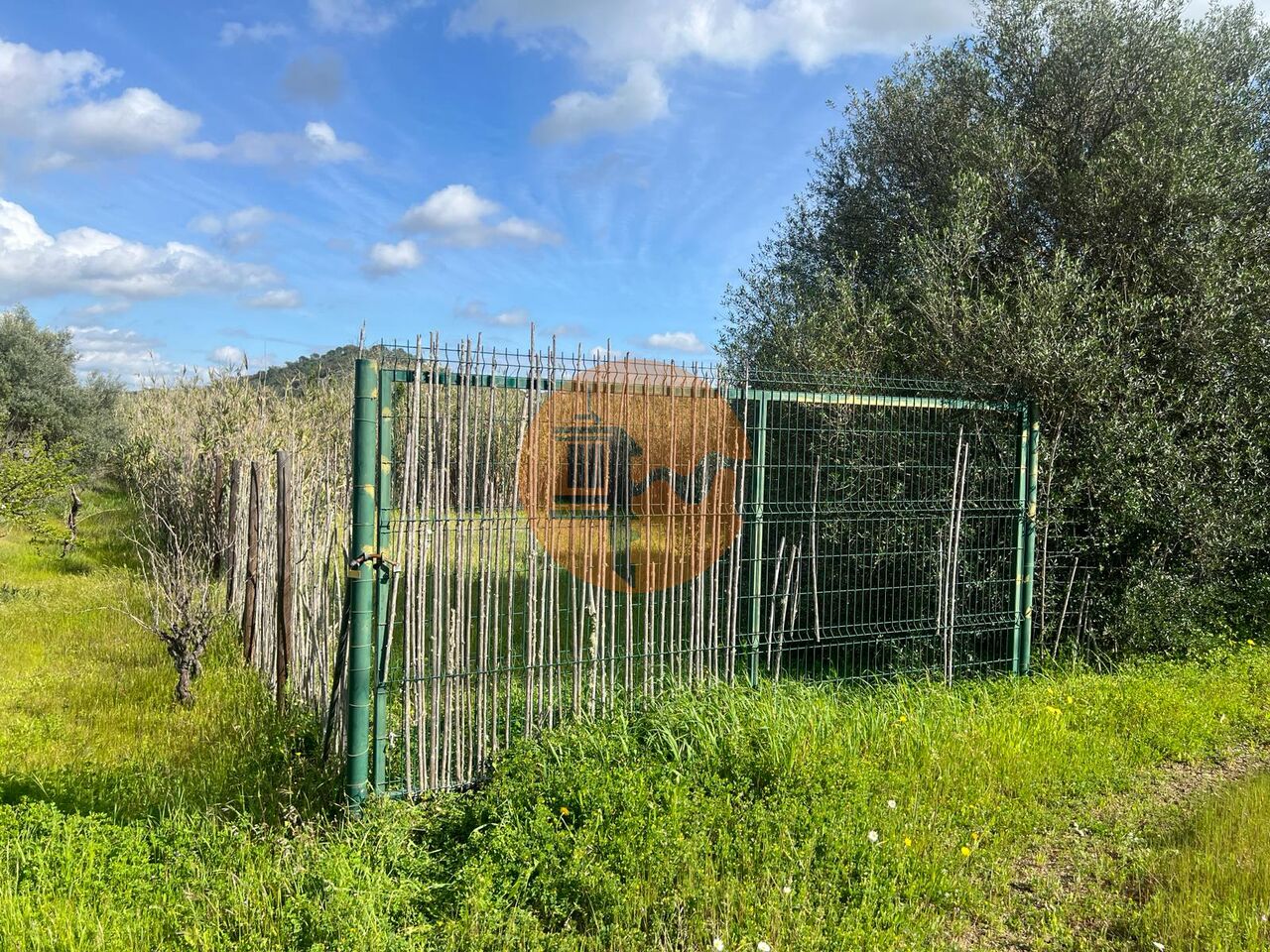 Działka na sprzedaż w Faro 20