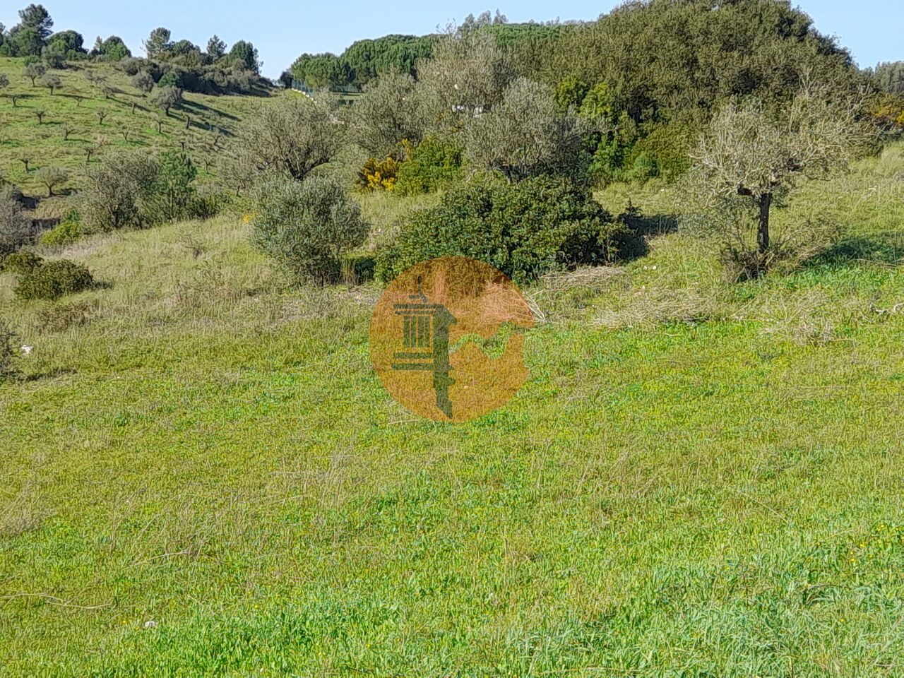 Plot for sale in Guardamar and surroundings 17