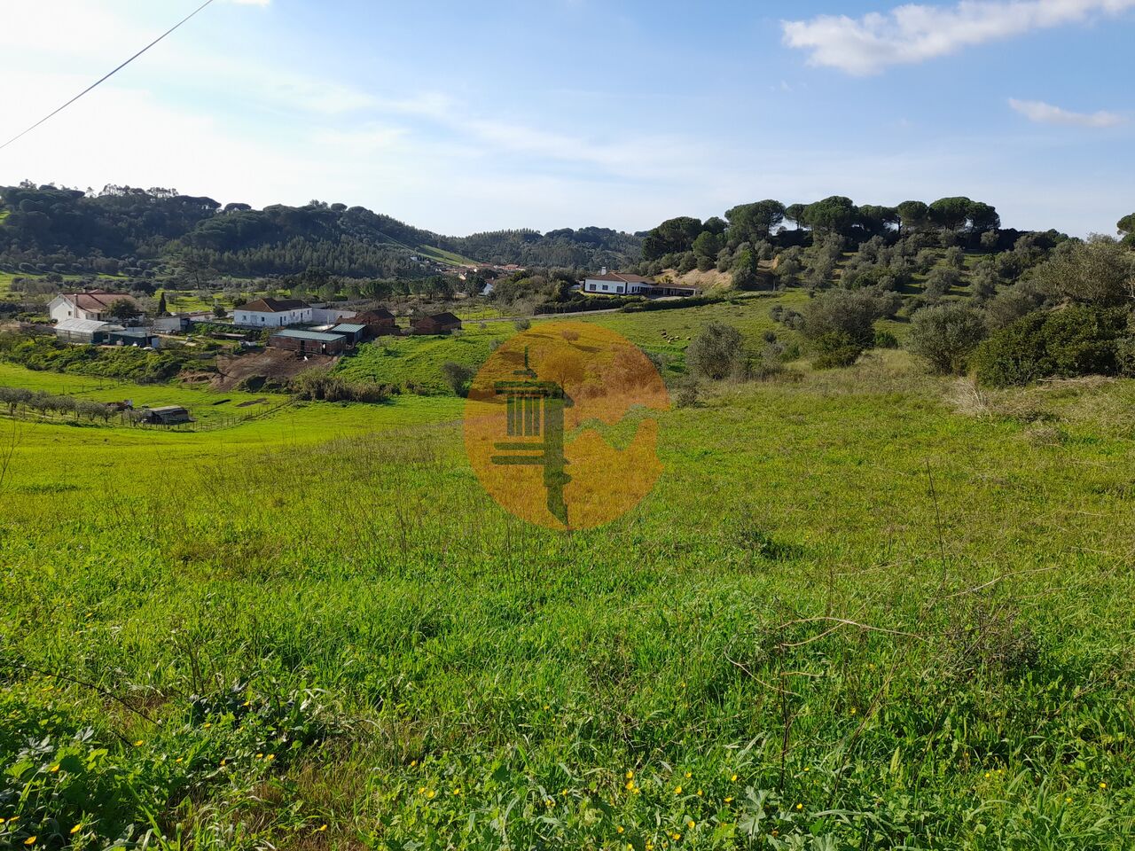 Plot for sale in Guardamar and surroundings 18