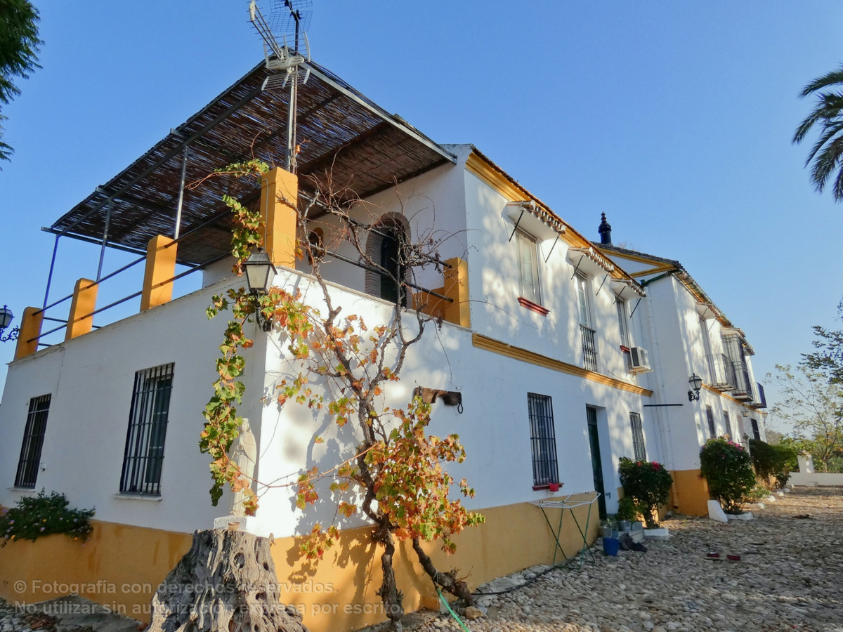 Загородный дом для продажи в Málaga 49