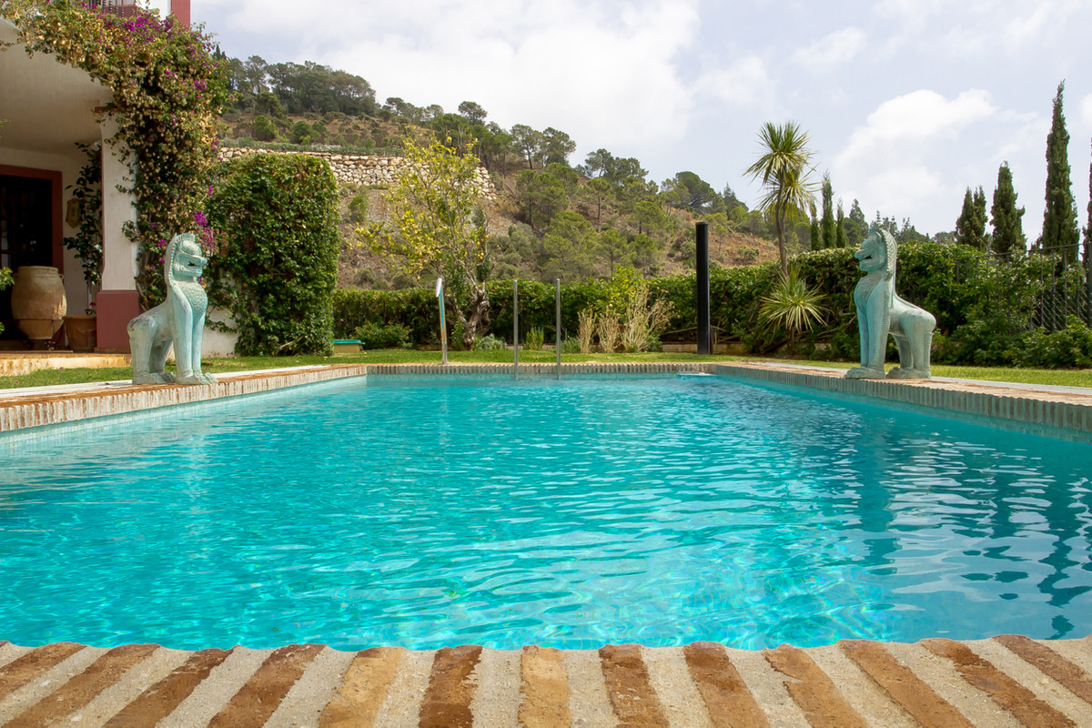 Villa for sale in Towns of the province of Seville 23