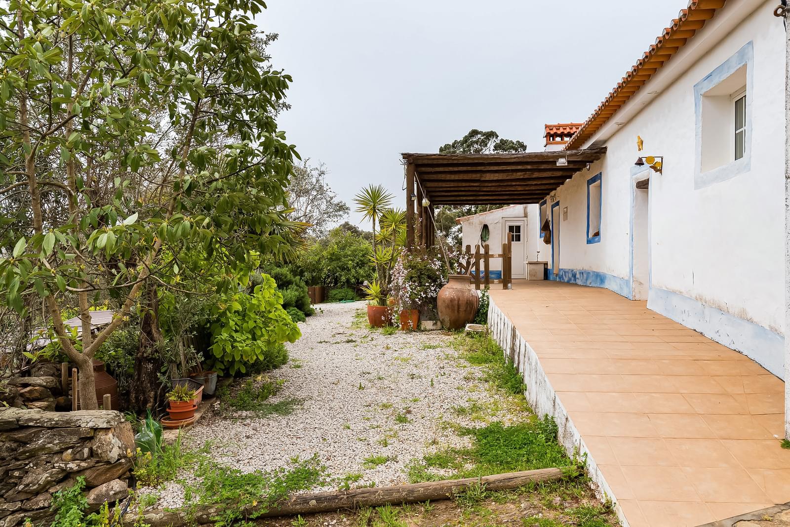 Countryhome for sale in Guardamar and surroundings 4