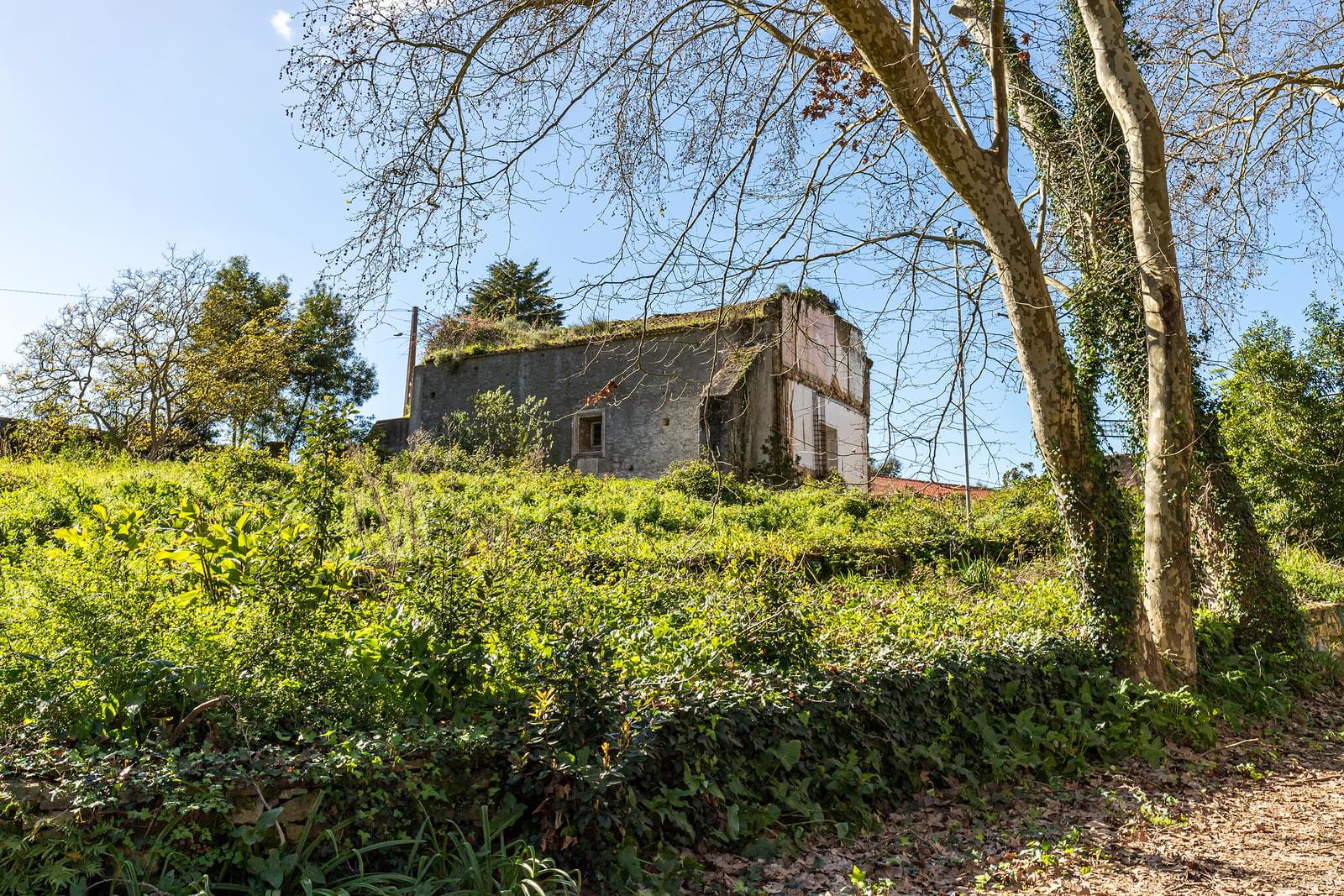 Загородный дом для продажи в Sintra 19