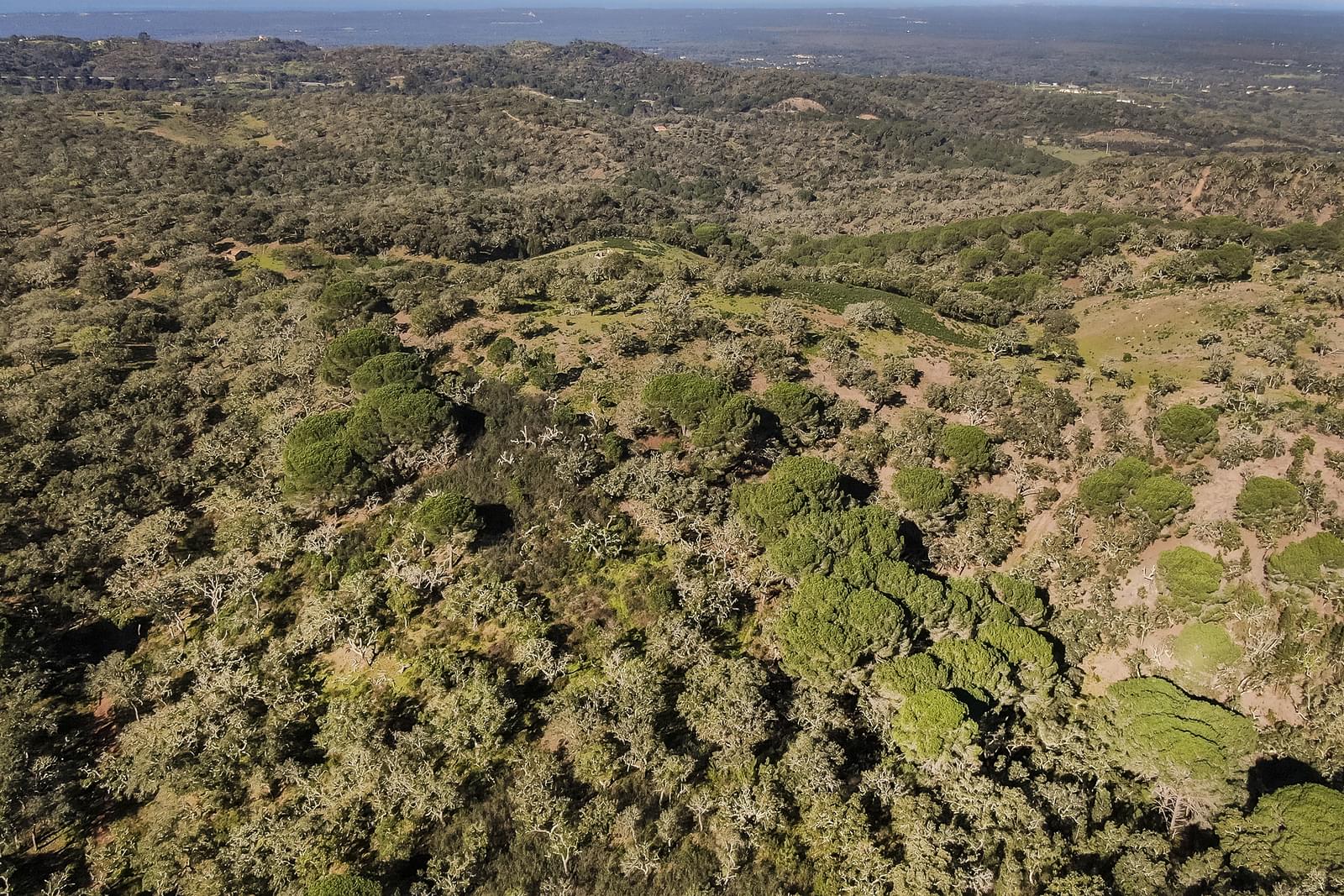 Tomt till salu i Setúbal Peninsula 1